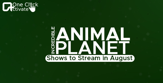 Animal-Planet