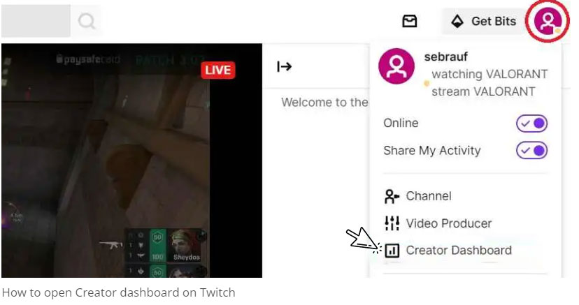 Twitch website