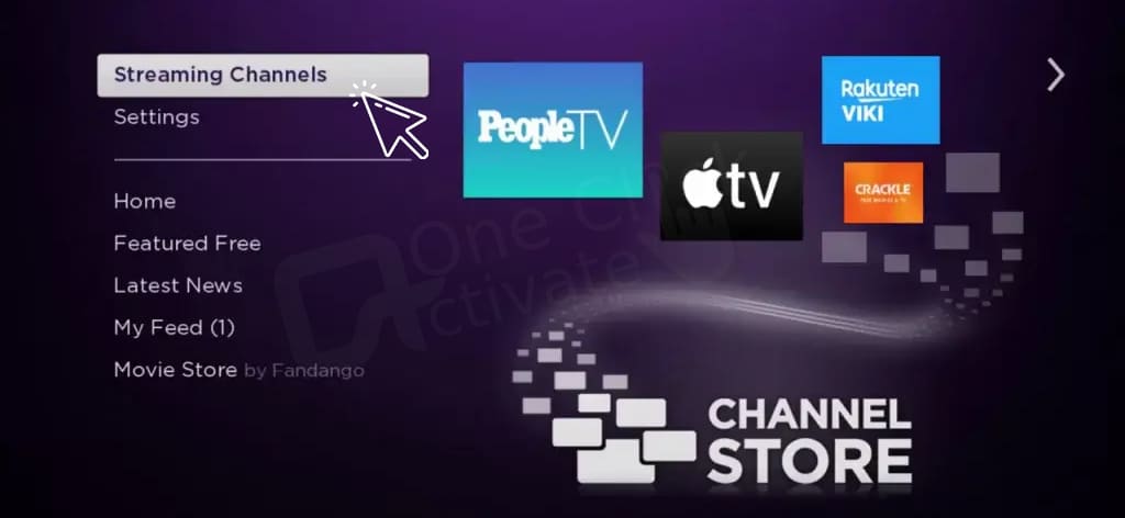 TV Land on Roku