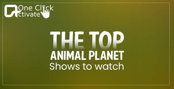 Top Animal Planet Shows