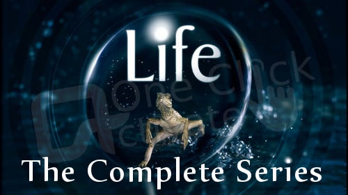 best discovery channel shows