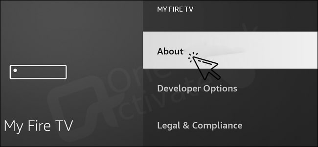 Enable Developer Options