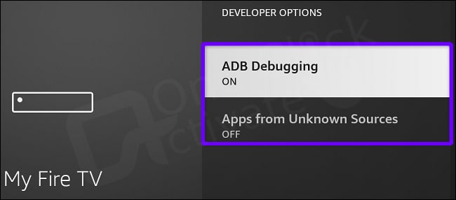 Enable Developer Options