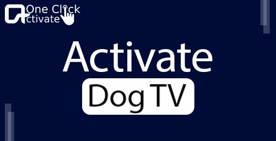 How to Activate Dog TV on your device at watch.dogtv.com/activate